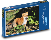 Liška - divoké zvíře, dravec  Puzzle 2000 dílků - 90 x 60 cm