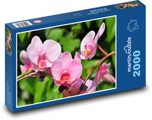 Orchidej - růžové květiny, rostliny Puzzle 2000 dílků - 90 x 60 cm