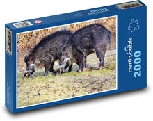 Wild boar - wild animal, sows Puzzle 2000 pieces - 90 x 60 cm