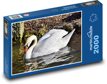Labuť - vodný vták, zviera Puzzle 2000 dielikov - 90 x 60 cm