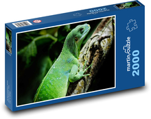 Iguana - jašterica, plaz Puzzle 2000 dielikov - 90 x 60 cm