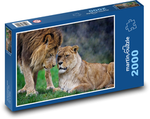Lev a lvice - zvířata, Afrika  Puzzle 2000 dílků - 90 x 60 cm