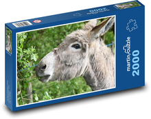 Osioł - zwierzę, gospodarstwo Puzzle 2000 elementów - 90x60 cm