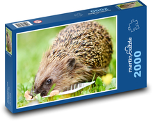 Ježek - zvíře, jíst  Puzzle 2000 dílků - 90 x 60 cm