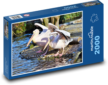 Pelikán - růžový pták, zobák Puzzle 2000 dílků - 90 x 60 cm