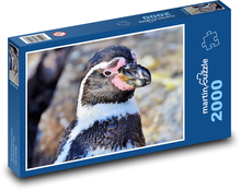 Tučniak - vodný vták, zviera Puzzle 2000 dielikov - 90 x 60 cm
