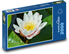 Seerose - Wasserblume, Teich Puzzle 2000 Teile - 90 x 60 cm