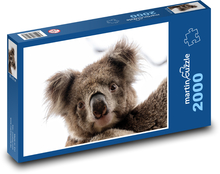Koala teddy bear - marsupial, animal Puzzle 2000 pieces - 90 x 60 cm