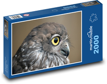 Raubkauz - Vogel, Tier Puzzle 2000 Teile - 90 x 60 cm
