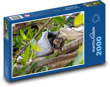 Lis latający - nietoperz, zwierzę Puzzle 2000 elementów - 90x60 cm