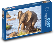 African elephant - elephant, baby Puzzle 2000 pieces - 90 x 60 cm