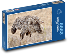 Samica strusia somalijskiego - zwierzę, ptak Puzzle 2000 elementów - 90x60 cm
