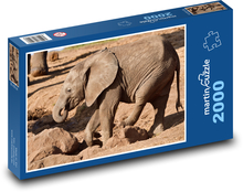 Africký slon - zviera, cicavec Puzzle 2000 dielikov - 90 x 60 cm