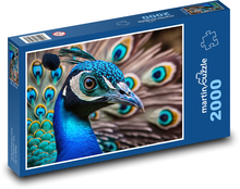 Kolorowy paw - ptak, zwierzę Puzzle 2000 elementów - 90x60 cm