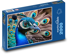 Farbiger Pfau - Vogel, Tier Puzzle 2000 Teile - 90 x 60 cm