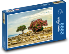 Cypr - krajobraz, drzewa Puzzle 2000 elementów - 90x60 cm