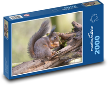Wiewiórka - orzech, zwierzę Puzzle 2000 elementów - 90x60 cm