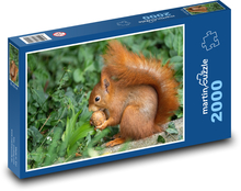 Eichhörnchen - Walnuss, Wild Puzzle 2000 Teile - 90 x 60 cm