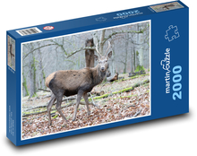 Jeleň - divá zver, les Puzzle 2000 dielikov - 90 x 60 cm