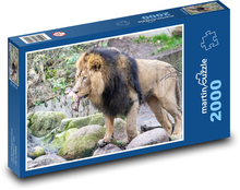 Löwe - Säugetier, Tier Puzzle 2000 Teile - 90 x 60 cm