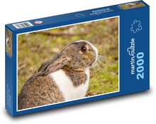 Królik - zwierzę, ssak Puzzle 2000 elementów - 90x60 cm