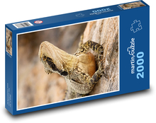Eidechse - Reptil, Tier Puzzle 2000 Teile - 90 x 60 cm