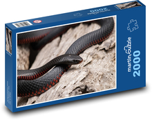 Black snake - reptile, animal Puzzle 2000 pieces - 90 x 60 cm