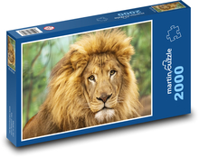 Löwe - Großkatze, Tier Puzzle 2000 Teile - 90 x 60 cm