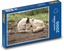 Dingo - mężczyzna, Australia Puzzle 2000 elementów - 90x60 cm