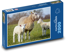 Schafe - Lämmer, Tiere Puzzle 2000 Teile - 90 x 60 cm