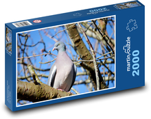 Dove - bird, feather Puzzle 2000 pieces - 90 x 60 cm