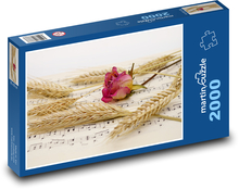 Růže - pšenice, noty Puzzle 2000 dílků - 90 x 60 cm