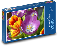 Tulipány - kvet, jar Puzzle 2000 dielikov - 90 x 60 cm