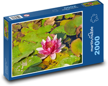 Seerose - Blume, Pflanze Puzzle 2000 Teile - 90 x 60 cm