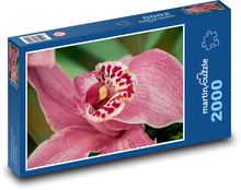 Orchidej - květ, rostlina Puzzle 2000 dílků - 90 x 60 cm