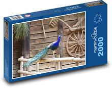 Páv - zviera, perá Puzzle 2000 dielikov - 90 x 60 cm