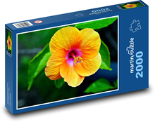 Yellow hibiscus - flower, garden Puzzle 2000 pieces - 90 x 60 cm