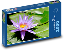 Purple water lily - plant, flower Puzzle 2000 pieces - 90 x 60 cm