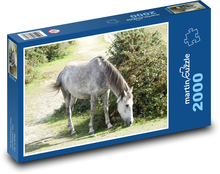 Kůň - zvíře, léto Puzzle 2000 dílků - 90 x 60 cm