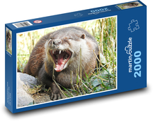 Vydra - voľne žijúce zviera, predátor Puzzle 2000 dielikov - 90 x 60 cm