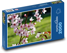 Květ - větev, strom Puzzle 2000 dílků - 90 x 60 cm