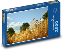 Cereal field - barley, landscape Puzzle 2000 pieces - 90 x 60 cm