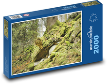 Las - mech, przyroda Puzzle 2000 elementów - 90x60 cm