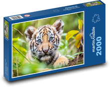Tiger - mláďa, tiger Puzzle 2000 dielikov - 90 x 60 cm