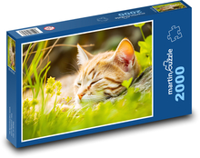 Sleeping cat - cub, animal Puzzle 2000 pieces - 90 x 60 cm