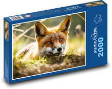 Fuchs - Säugetier, wildes Tier Puzzle 2000 Teile - 90 x 60 cm