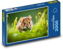 Mysz - gryzoń, zwierzę Puzzle 2000 elementów - 90x60 cm
