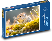 Mysz - gryzoń, zwierzę Puzzle 2000 elementów - 90x60 cm