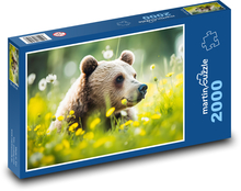 Niedźwiedź - ssak, pastwisko Puzzle 2000 elementów - 90x60 cm