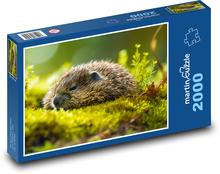 Vydra - zviera, príroda Puzzle 2000 dielikov - 90 x 60 cm